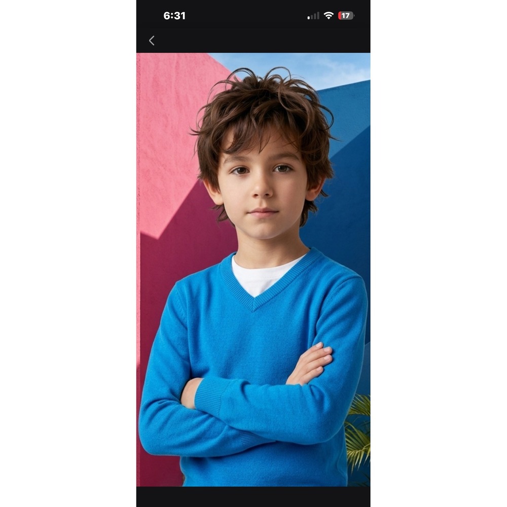 The Childrens Place Boys Blue V-Neck Sweater Long Sleeve Knit Pullover 3T